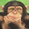 Глаголы мышления, общения, рабочих операций En-Ru