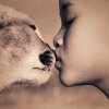 Глаголы чувства En-Ru для Lingvo Tutor
